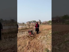 4-WD-zelf Aangedreven Uitloper Directe Connection#MiniPowerTiller#directconnectedTiller